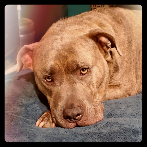 Glitz-N-More... - Picture 1 of 2